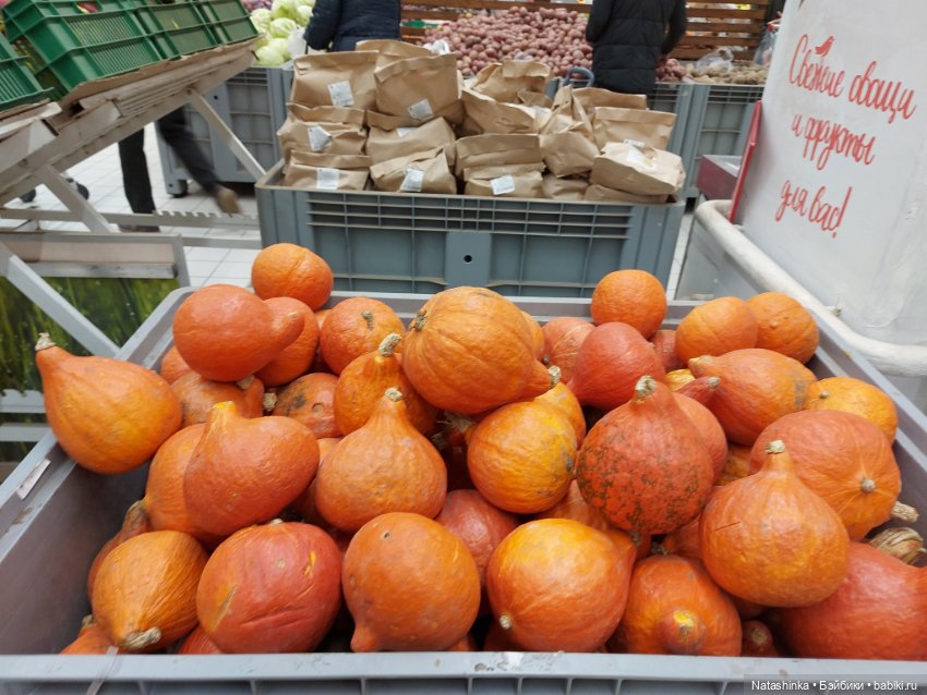 Fashion Dolls 300 — Куклы Звезды подиума (Angel Collection): шарнирные