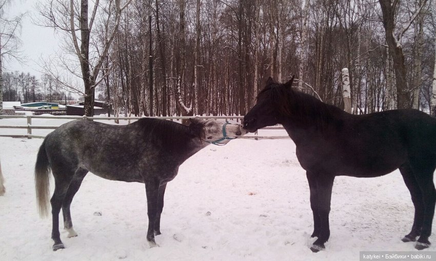 Зимнее солнцестояние (21 декабря) (фото 4)