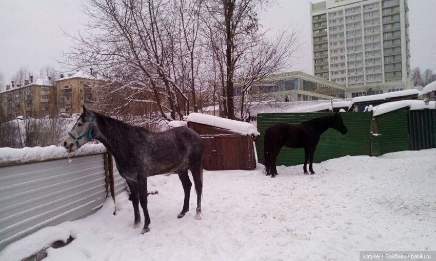 Зимнее солнцестояние (21 декабря) (фото 3)