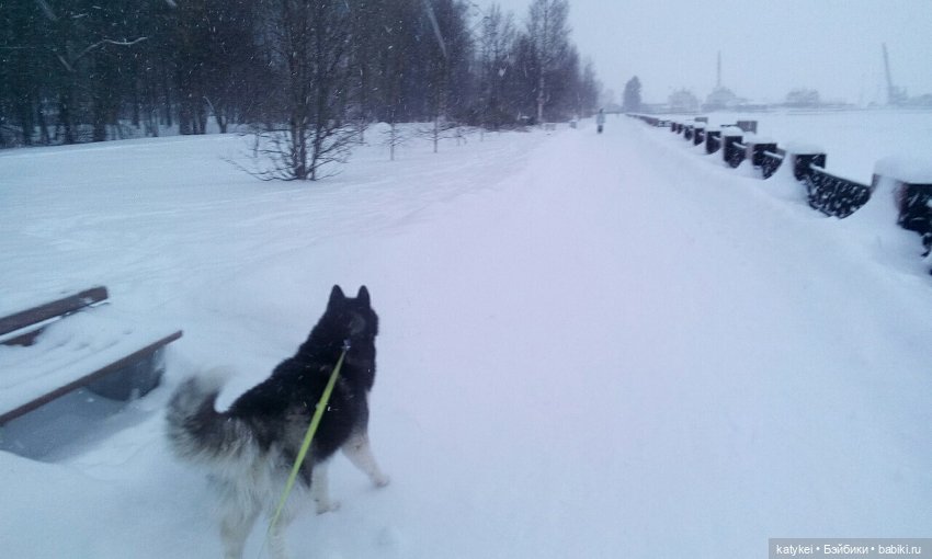 Зимнее солнцестояние (21 декабря) (фото 10)