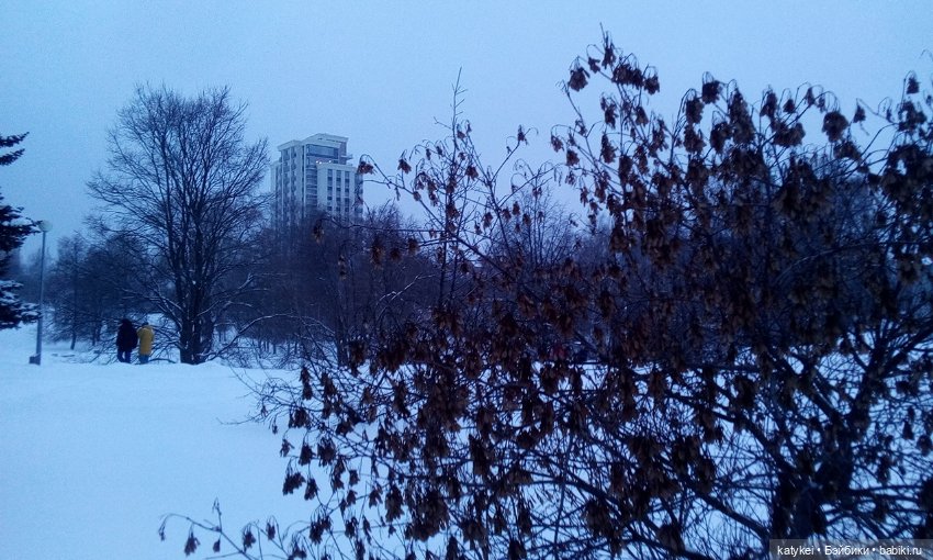 Зимнее солнцестояние (21 декабря)