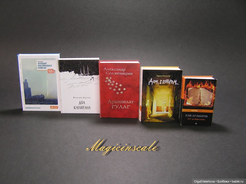 Обзор на книги, которые мы делали