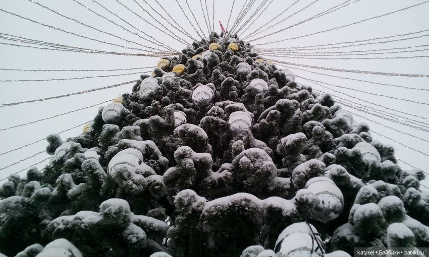 Экскурсия для тех, у кого нет снега (фото 2)