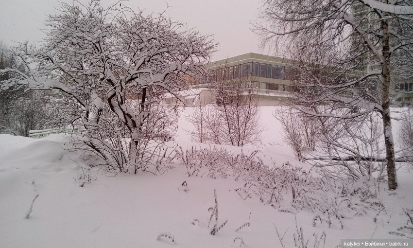 Экскурсия для тех, у кого нет снега (фото 8)