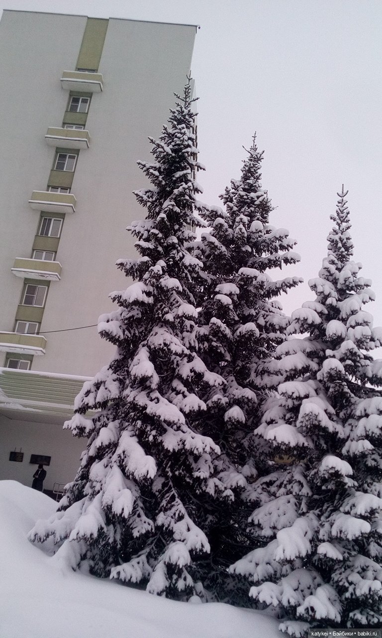 Экскурсия для тех, у кого нет снега