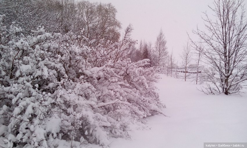 Экскурсия для тех, у кого нет снега