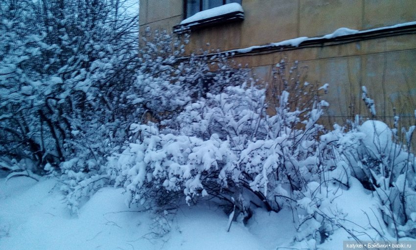 Экскурсия для тех, у кого нет снега