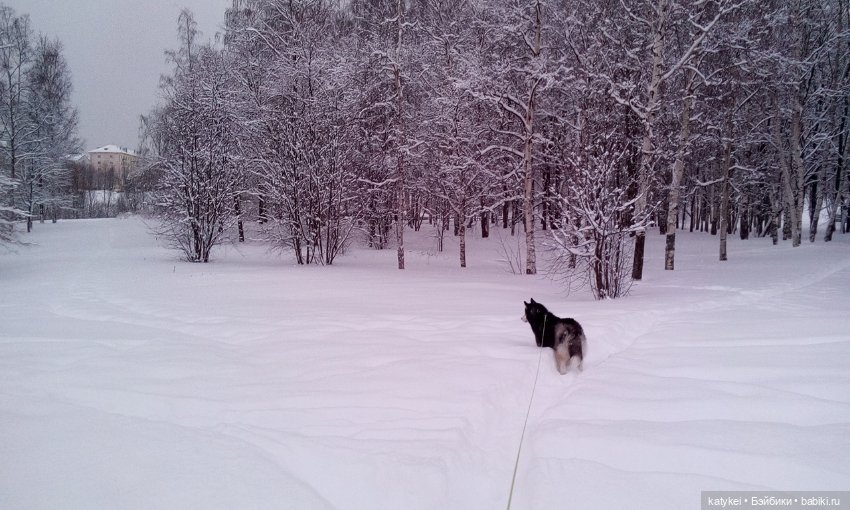 Экскурсия для тех, у кого нет снега