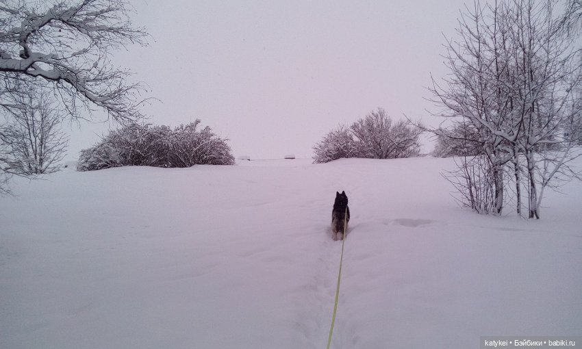 Экскурсия для тех, у кого нет снега