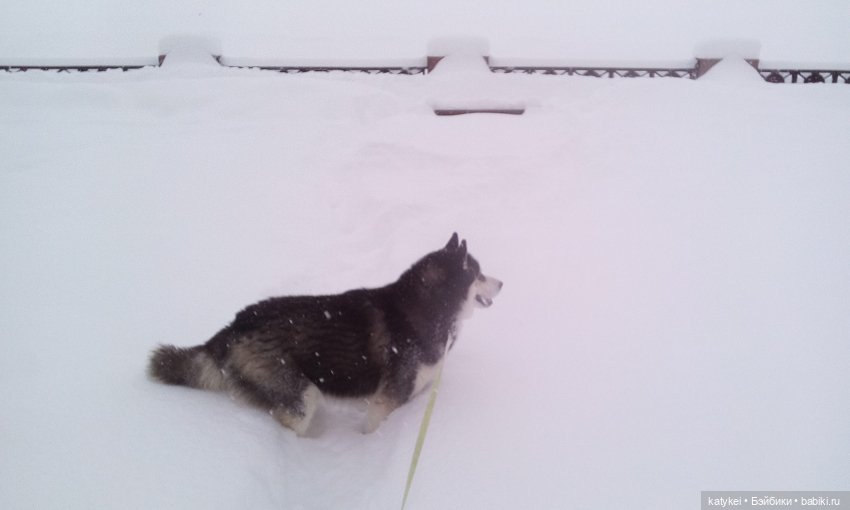 Экскурсия для тех, у кого нет снега