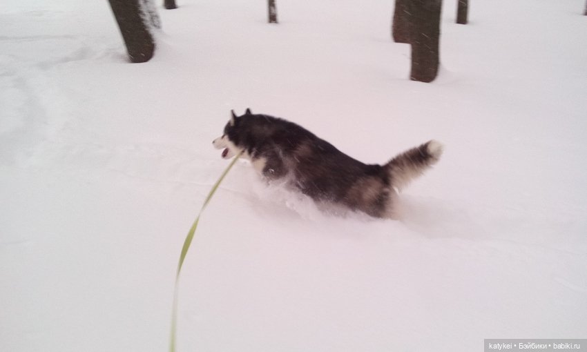 Экскурсия для тех, у кого нет снега