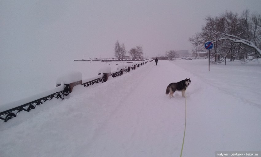 Экскурсия для тех, у кого нет снега