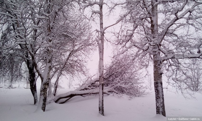Экскурсия для тех, у кого нет снега