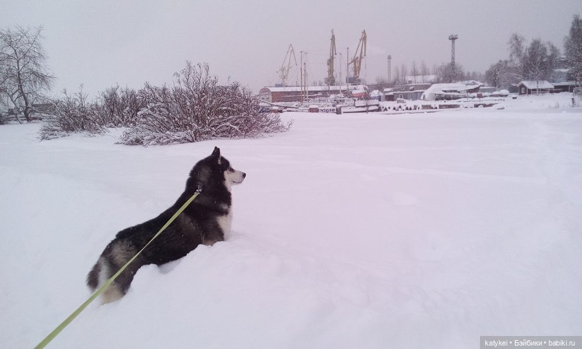 Экскурсия для тех, у кого нет снега