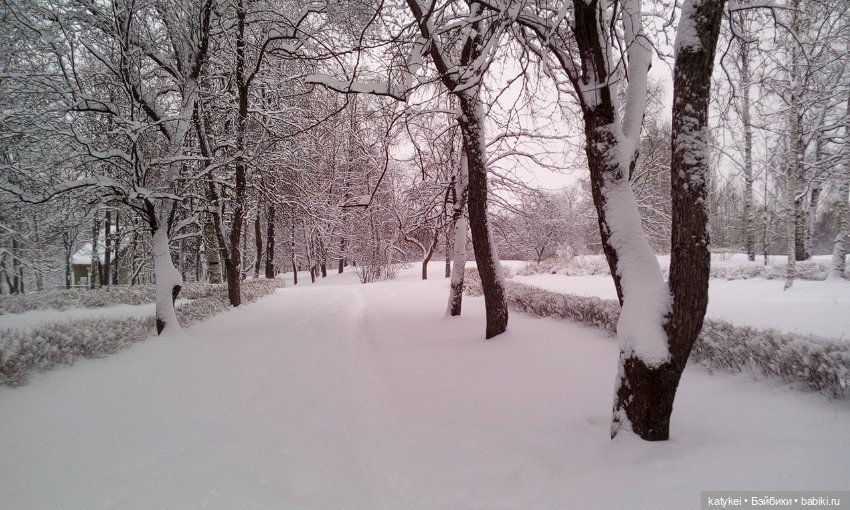 Экскурсия для тех, у кого нет снега (фото 3)