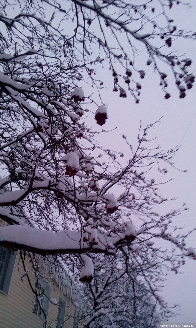 Экскурсия для тех, у кого нет снега