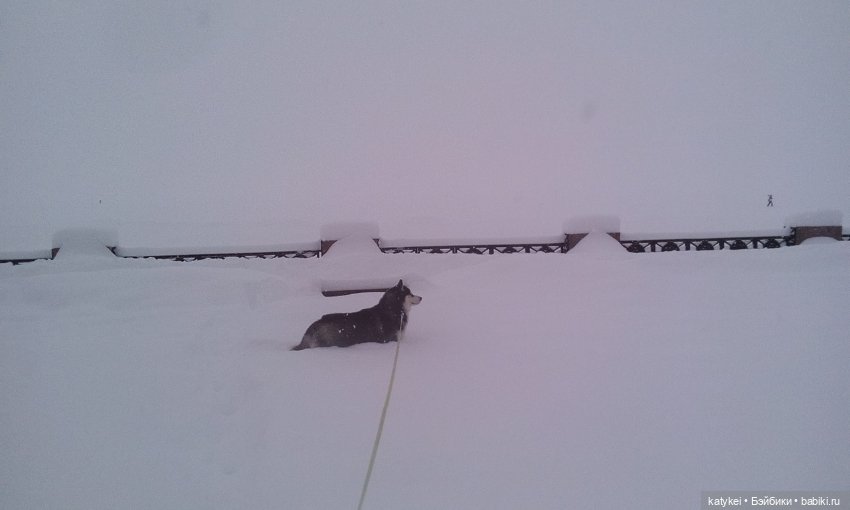 Экскурсия для тех, у кого нет снега