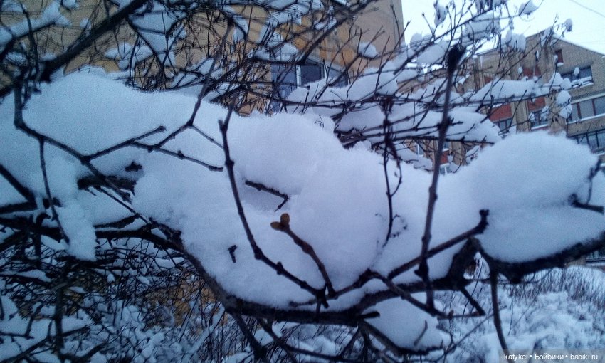 Экскурсия для тех, у кого нет снега