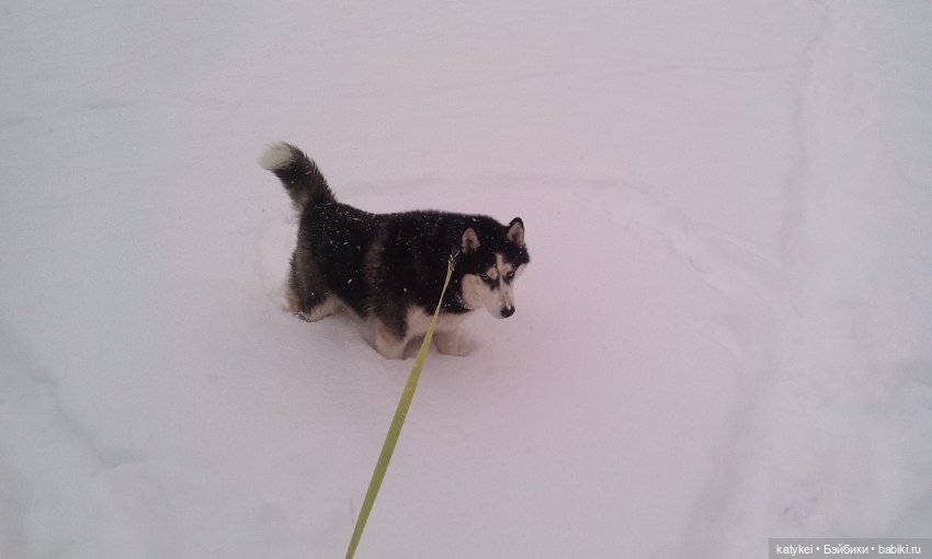 Экскурсия для тех, у кого нет снега (фото 10)