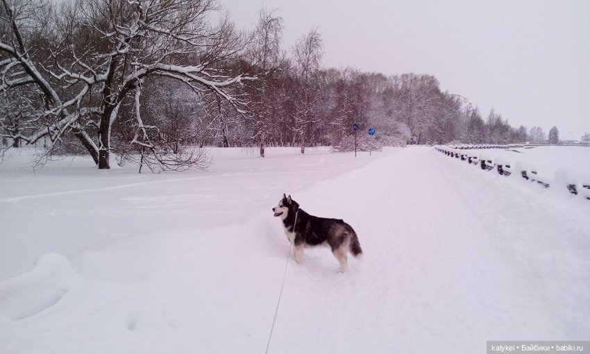 Экскурсия для тех, у кого нет снега