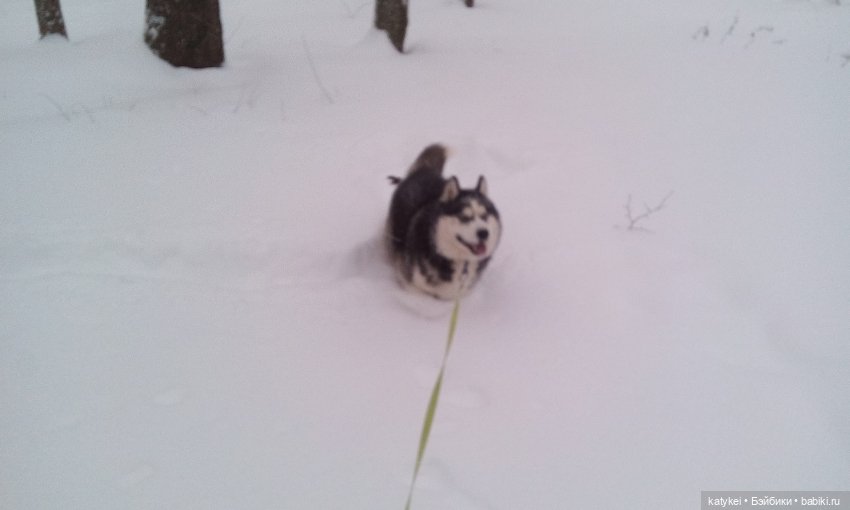 Экскурсия для тех, у кого нет снега