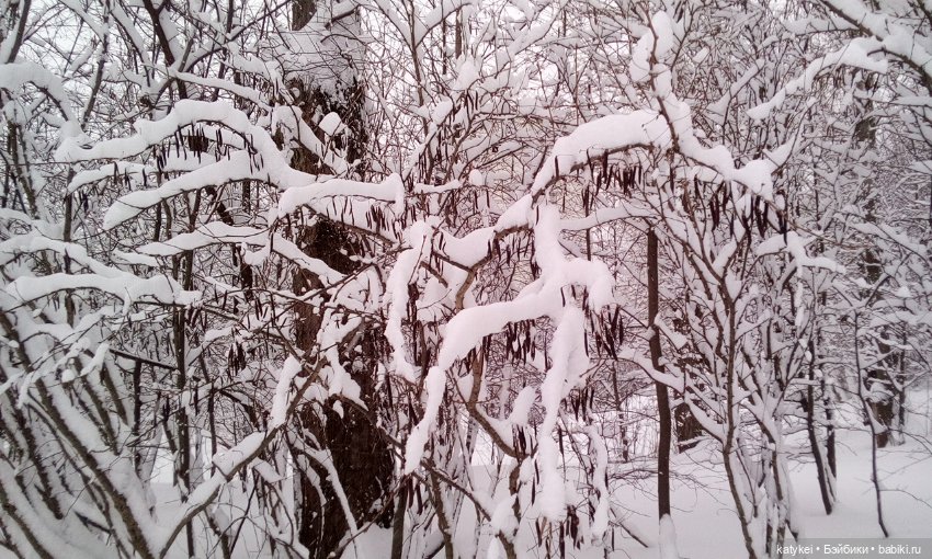 Экскурсия для тех, у кого нет снега (фото 7)