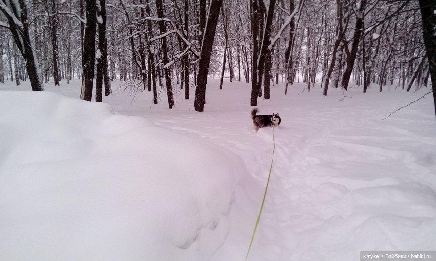Экскурсия для тех, у кого нет снега