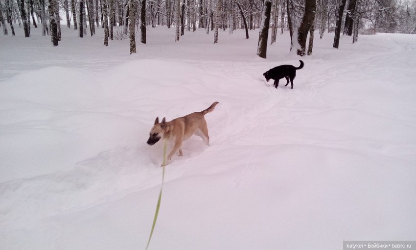 Экскурсия для тех, у кого нет снега