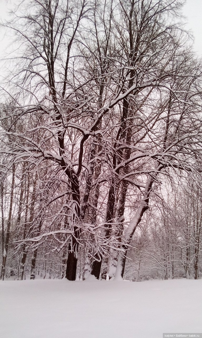 Экскурсия для тех, у кого нет снега (фото 5)