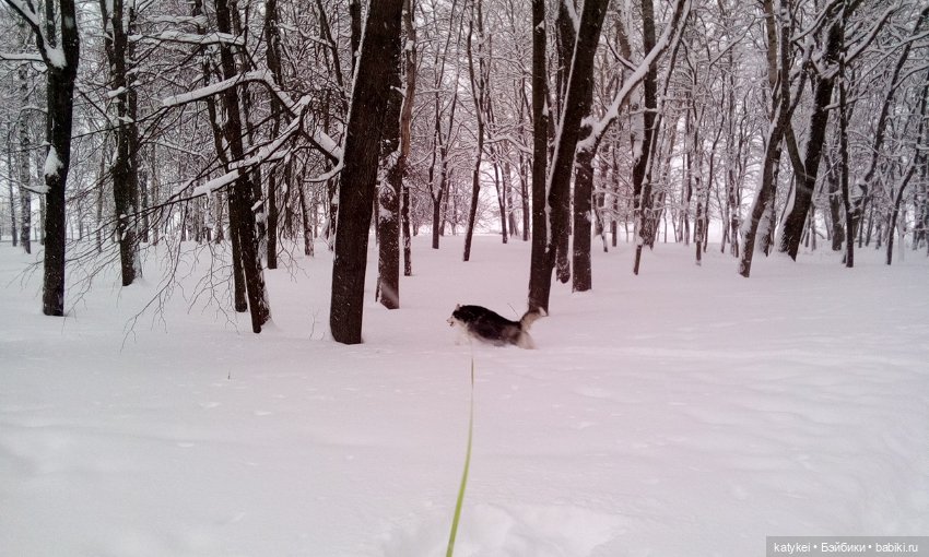 Экскурсия для тех, у кого нет снега