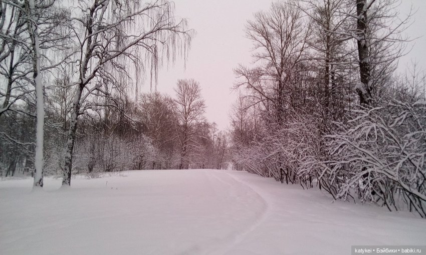 Экскурсия для тех, у кого нет снега (фото 6)