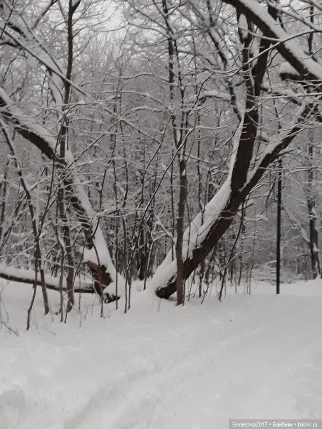Вечер перед Рождеством — Игровые куклы разных производителей (Разное): редкие бренды (фото 8)