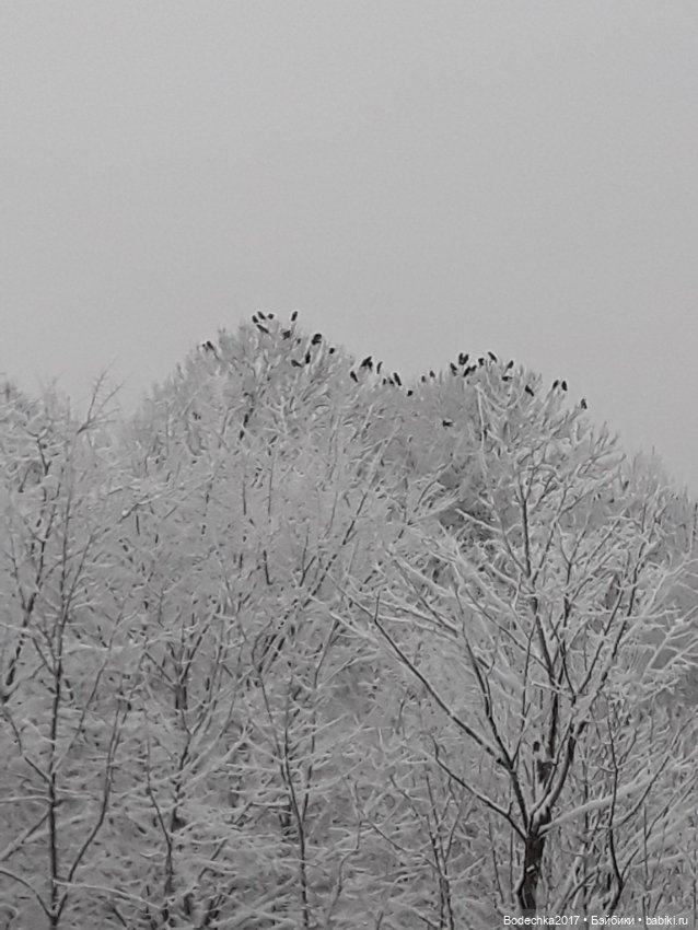 Вечер перед Рождеством — Игровые куклы разных производителей (Разное): редкие бренды (фото 9)