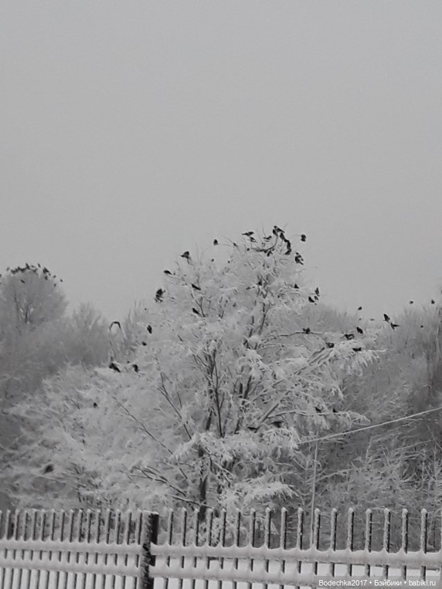 Вечер перед Рождеством — Игровые куклы разных производителей (Разное): редкие бренды (фото 10)