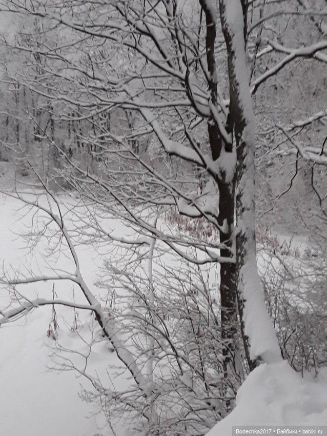 Вечер перед Рождеством — Игровые куклы разных производителей (Разное): редкие бренды (фото 2)