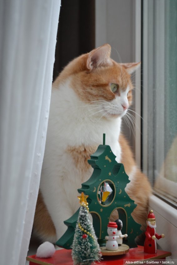 Ob11 Празник и печалька — Куклы и тела Obitsu 11 (Ob11): гибриды