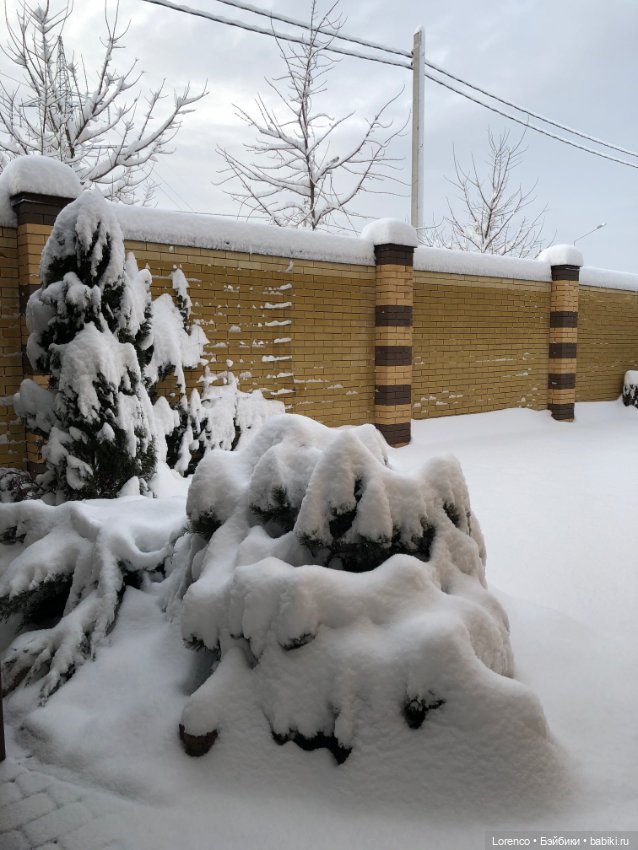 Просто наступила зима. Дворовые пейзажи
