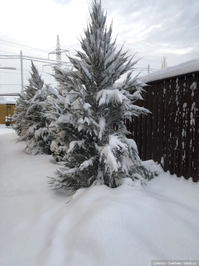 Просто наступила зима. Дворовые пейзажи (фото 7)