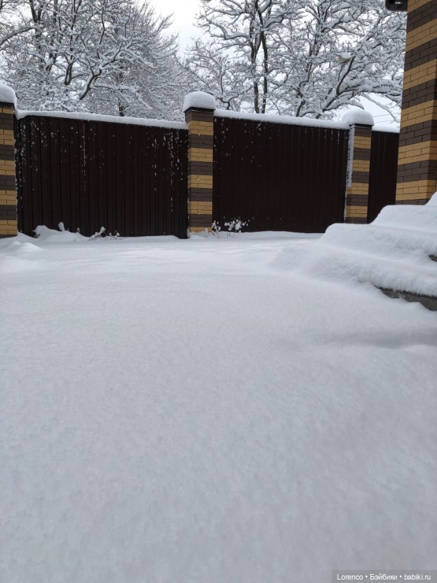 Просто наступила зима. Дворовые пейзажи (фото 3)