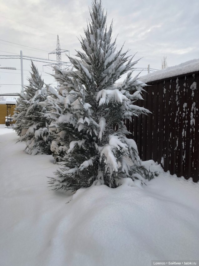 Просто наступила зима. Дворовые пейзажи (фото 6)