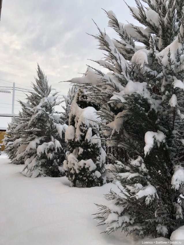 Просто наступила зима. Дворовые пейзажи (фото 8)
