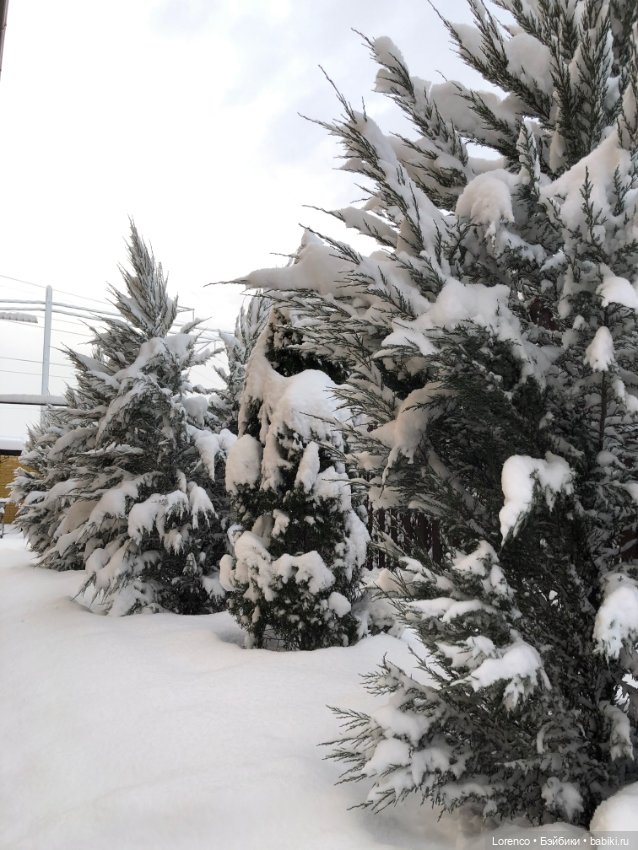 Просто наступила зима. Дворовые пейзажи (фото 10)