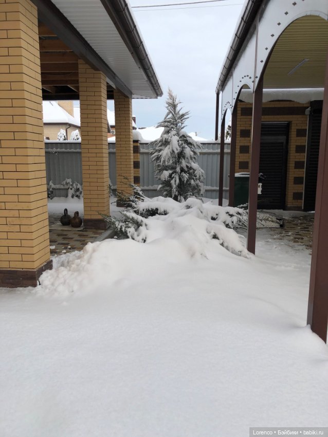 Просто наступила зима. Дворовые пейзажи (фото 4)
