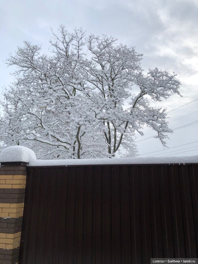 Просто наступила зима. Дворовые пейзажи
