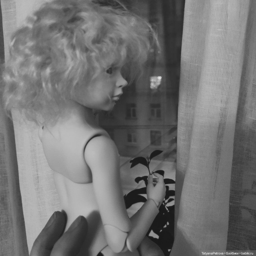 Роза Rosa Dollshe, моя звёздочка) (фото 3)