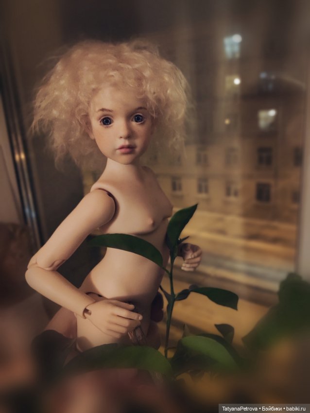 Роза Rosa Dollshe, моя звёздочка) (фото 4)