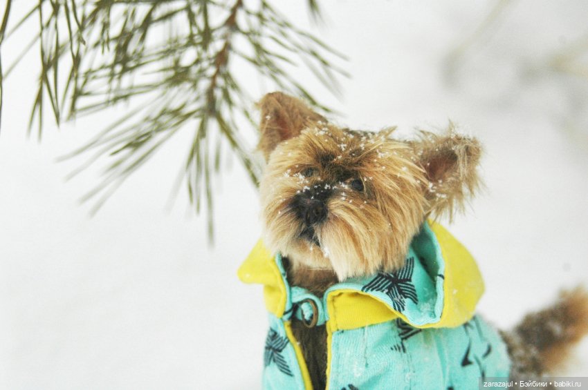 А мы сходили погулять — Авторские мишки Тедди и друзья: фото (фото 3)