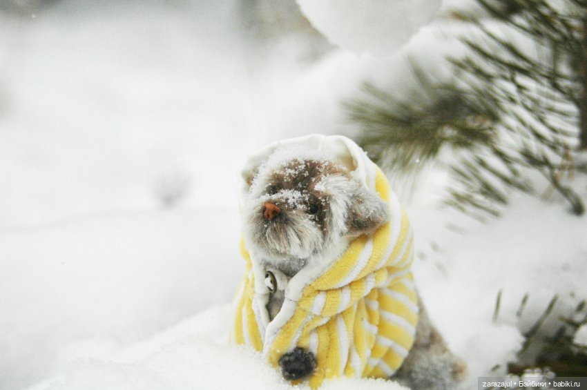 А мы сходили погулять — Авторские мишки Тедди и друзья: фото (фото 5)