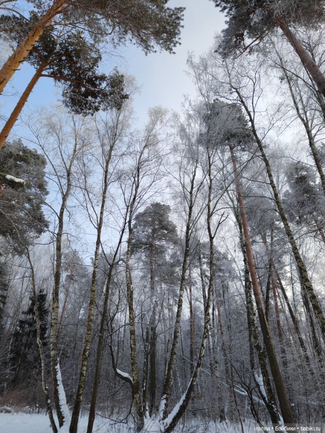 Нора на зимней прогулке — Куклы Paola Reina (Паола Рейна): новинки (фото 4)