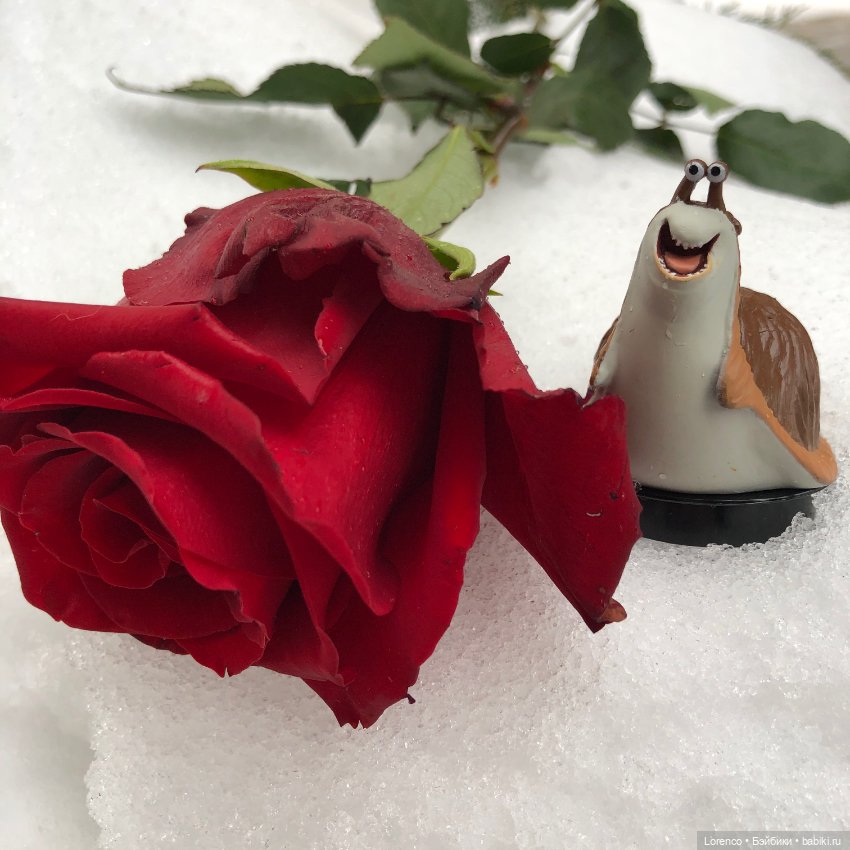 Приятели — Игровые куклы разных производителей (Разное): редкие бренды